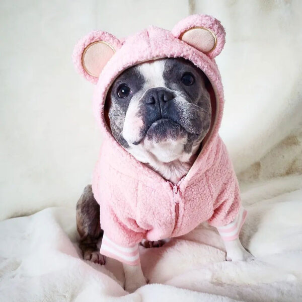 Pet Fashion Brand Fleece-lined Warm Ear-standing Sweater - Image 8